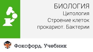 Биология. Цитология: Строение клеток прокариот. Бактерии. Центр онлайн-обучения «Фоксфорд»