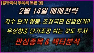 2월14일 매매전략 삼성전자,SK하이닉스,현대차,삼성중공업,삼성SDI,LG화학,한진칼,에코프로비엠,씨아이에스,흥구석유,코리아써키트,피피아이,KG케미칼,에이디칩스,젬백스,쌍용차,미스