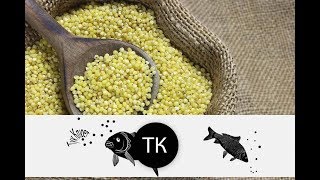 Правильное Пшено Для Рыбалки! Коротко и Понятно №1