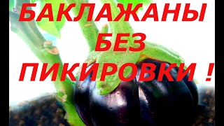 БАКЛАЖАНЫ БЕЗ ПИКИРОВКИ  СУПЕР СПОСОБ , ОТЛИЧНЫЙ РЕЗУЛЬТАТ!
