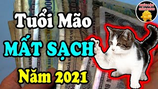 Tuổi Mão Năm 2021 ĐẠI HẠN GIÁNG XUỐNG, Chú Ý 3 Điều Này Kẻo Vỡ Nợ Mất Trắng