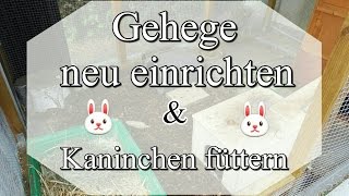 Gehege einrichten & Kaninchen füttern // MeAndMyBunnys