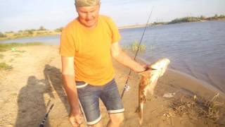 Интересная рыбалка. Поимка монстров на заброшенном пруду.