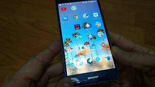 Для Avito Sharp AQUOS P1 4G от 09.02.2019