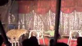 Domador con el tigre en la jaula - Circo Osvaldo Terri - Clorinda