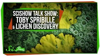 SciShow Talk Show with Toby Spribille & A New Lichen Discovery