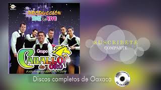 Caballo de oro | Disco Completo en Vivo SUSCRIBETE