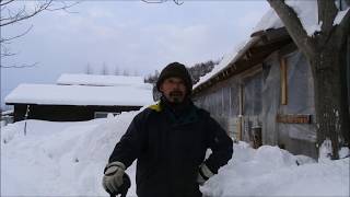子供と鶏舎の屋根の雪下ろし　シーズン2度目　サンタのトコロ2019