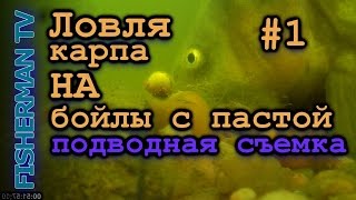 Ловля карпа на бойлы с пастой. Подводная съёмка, Часть 1