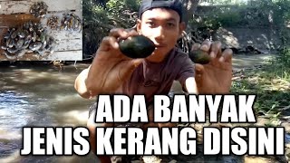 Temukan Banyak Jenis Kerang Disini