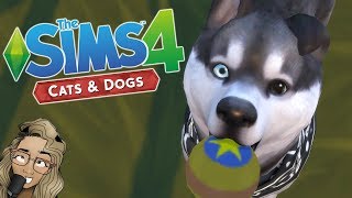The Sims 4: Cats and Dogs | GAMEPLAY FIRST LOOK |