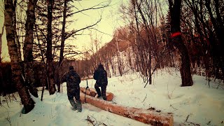 ПЕРВЫЕ БРЕВНА НА МЕСТЕ!!! ВСЕ ХОРОШО, ДВИГАЕМСЯ ДАЛЬШЕ!