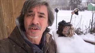 Frozen Bigfoot Eye Disclosure, The Truth is in the Eyes