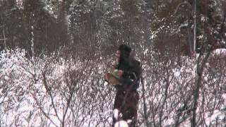 Зимняя охота на уток в заполярной тайге / A winter duck hunting