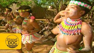 Zulu Women Dances | African Tribe