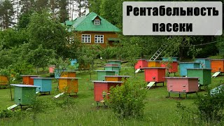 13.02.20 г. Z-рация, канал "Творческое пчеловодство" Малыхин В.Е., общение в режиме "вопрос-ответ"