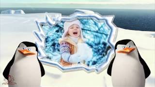 Готовый проект ProShow Producer ПИНГВИНЫ МАДАГАСКАРА - Penguins