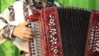 РУССКИЕ НАРОДНЫЕ НАИГРЫШИ НА ГАРМОНИ)))Народные песни!!! Гра на гармошцi!!