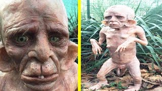 इस अजीबोगरीब जीव को देखकर डरे लोग, एलियन की आशंका…wbn news