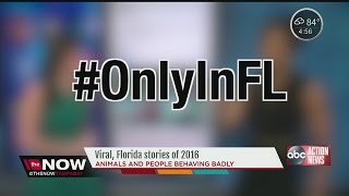 #OnlyInFlorida: Viral Florida Stories of 2016