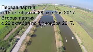 Wakeboard Teacher Camp ThaiWakePark 15.10.17- 09.12.17 Спортивный Вейк Лагерь