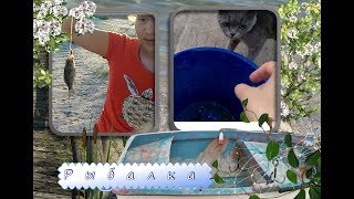 рыбалка с папой Настя и Федя ждут улов для беременной кошки Лёли//МНОГОДЕТКИ ТВ