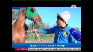 Көчмөндөр оюндары: күлүктү күлүк кылган саяпкер