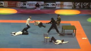 Bercy 2013 - Hommage à Bruce Lee