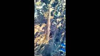 Раскопки в полях второй мировой в Харьковской области!