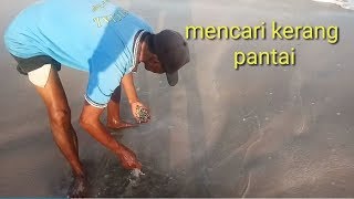 Mencari kerang di pantai kedonganan bali