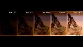 Уроки фотографии для начинающих