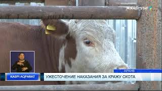 Ужесточение наказания за кражу скота