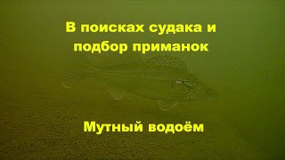Поиск и подбор приманок по судаку, подводные съёмки
