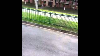 FLOORING!! Volvo B10M MkIV WA Strider SBS2614S
