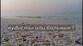 Короткое видео с косы Беляус. Ваше мнение: такое поведение нормально?