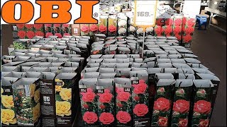 ?В ОБИ OBI стартовал новый ДАЧНЫЙ СЕЗОН?Грунт, семена, РОЗЫ, огурцы, петуния, эустома январь 2019