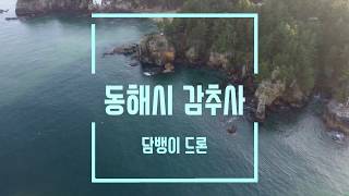 동해시 감추사