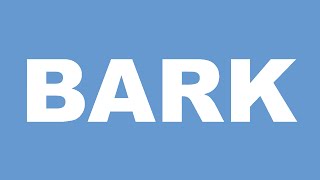 BARK RIB ПРОЕЗД ЛОДКИ