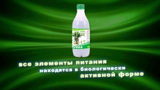 Эмбико - Юкка