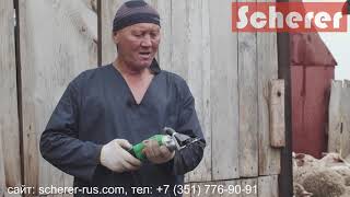 Машинка для стрижки овец и коз Scherer Prima 500 (Шерер Прима 500) отзыв профессионала.