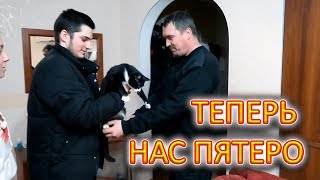 VLOG У нас пополнение в семье