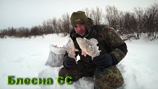 РЫБАЛКА НА СЕВЕРЕ. ПОЛ МЕШКА ОКУНЯ НА БЛЕСНУ СС. ТАКОГО КЛЕВА ЕЩЕ НЕ БЫЛО.