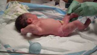 Fresh Out the Womb