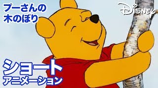 くまのプーさん　ちいさなぼうけん／ショートアニメ｜プーさんの木のぼり