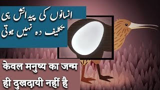 Most Extreme Births In The Animal Kingdom |Hindi-Urdu|Wisdom Unfolded