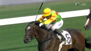 2015/16 (480) - Mighty Maverick (神威敖翔) - 郭能 (落飛大熱得手)