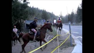Tevis Cup Ride 2013 - Highway 89 Crossing