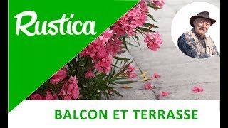 Planter un laurier-rose en pot sur une terrasse