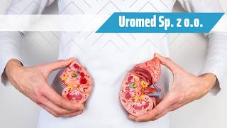 Lekarz urolog badania urologiczne leczenie schorzeń prostaty Koszalin Uromed Sp. z o.o.