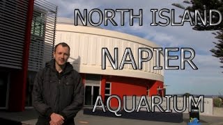 National Aquarium of New Zealand. Napier. / Национальный Аквариум Новой Зеландии в городе Нейпир